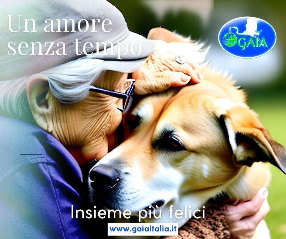 allegra 2023 immagine 3 whatsapp 2023-06-21 ore 11.18.20